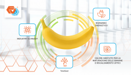 Tecnologia Frigoveneta per la maturazione delle banane preview