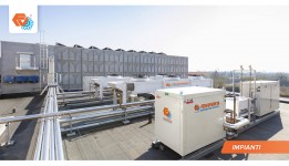 Stoccaggio prodotti surgelati e freschi preview