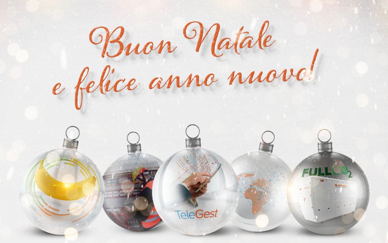 Buon Natale e felice anno nuovo!