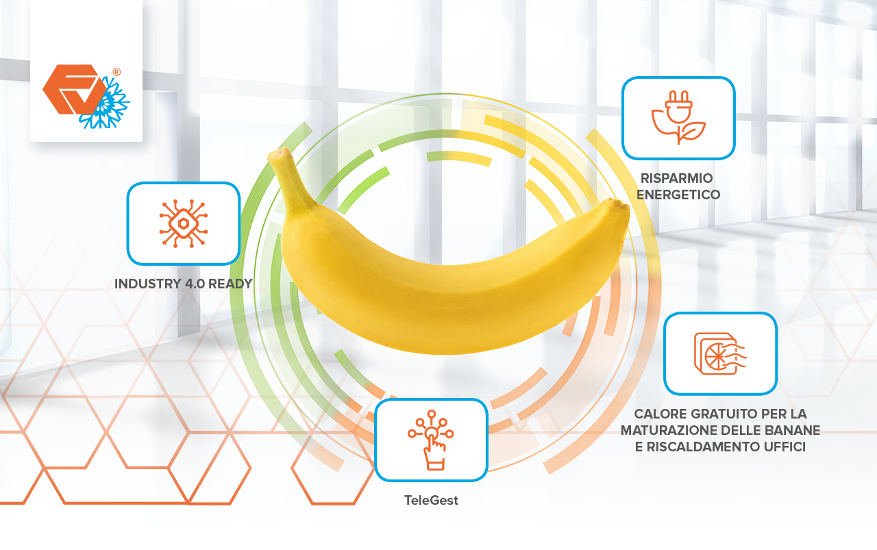 Tecnologia Frigoveneta per la maturazione delle banane