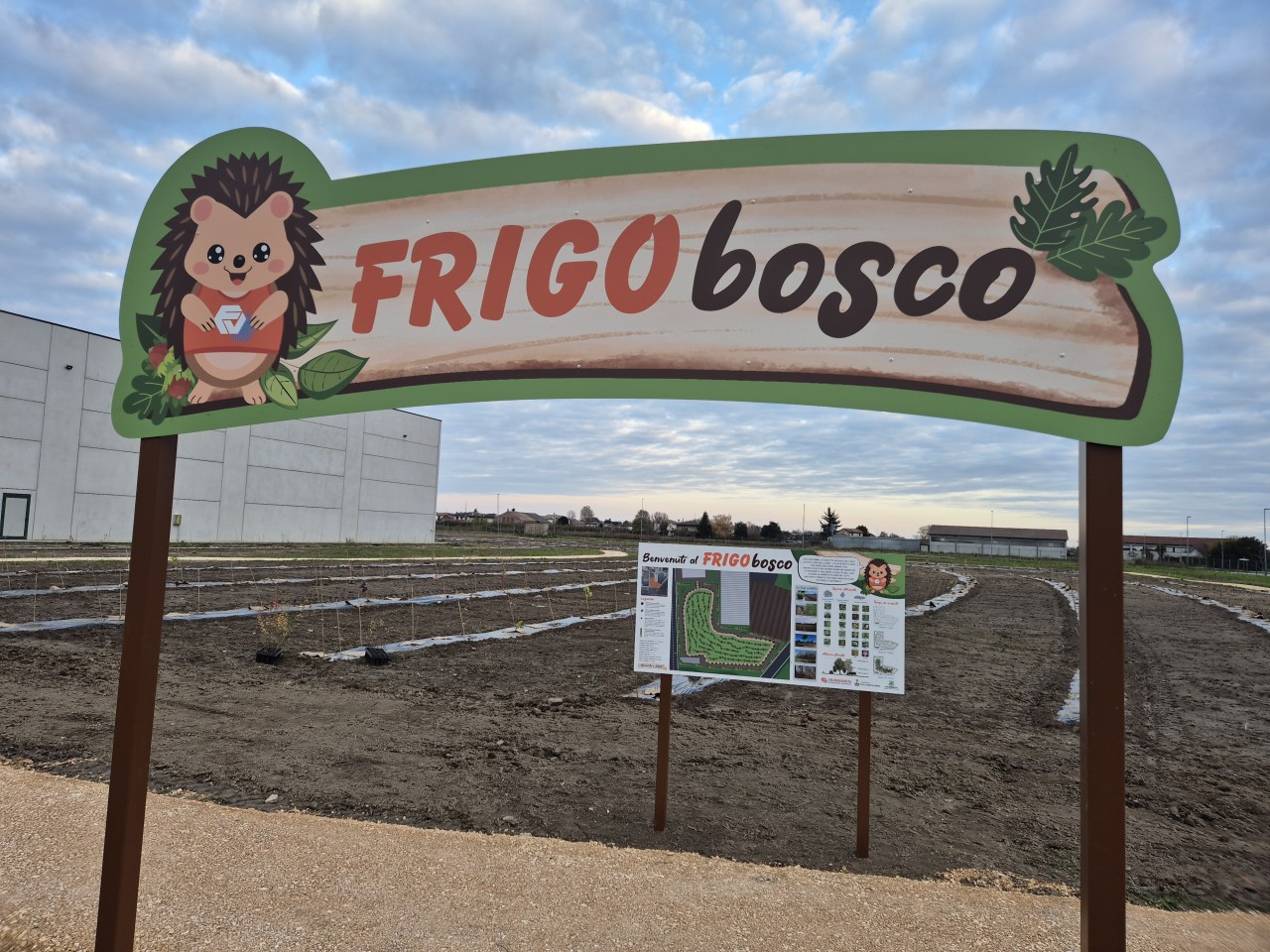FRIGOVENETA PIANTA IL SUO BOSCO: NASCE FRIGOBOSCO, IL PROGETTO ESG CHE PORTA LA NATURA NELL’INDUSTRIA