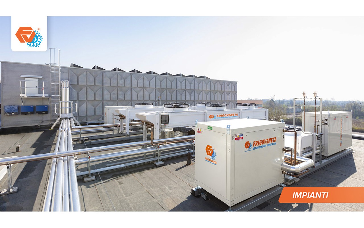 Stoccaggio prodotti surgelati e freschi